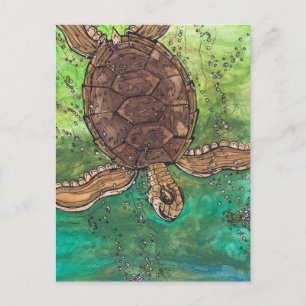 Trevor the Turtle Briefkaart