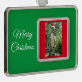 TREX Dinosaur met Pet van de kerstman Verzilverd Omlijst Ornament (Rechts)