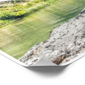 TRex op de los Poster (Hoek)