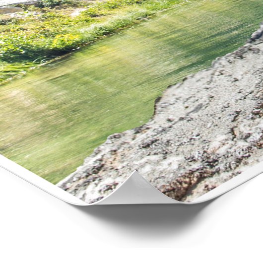 TRex op de los Poster (Hoek)