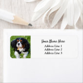 Tri Cavalier King Charles Return-adreslabel Etiket (Insitu)