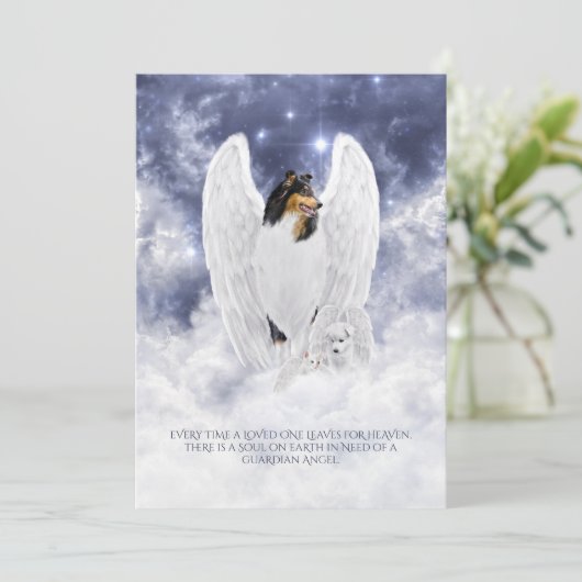 Tri Collie Angel & Cherub - Pet Loss Sympathiekaar (Staand voorkant)