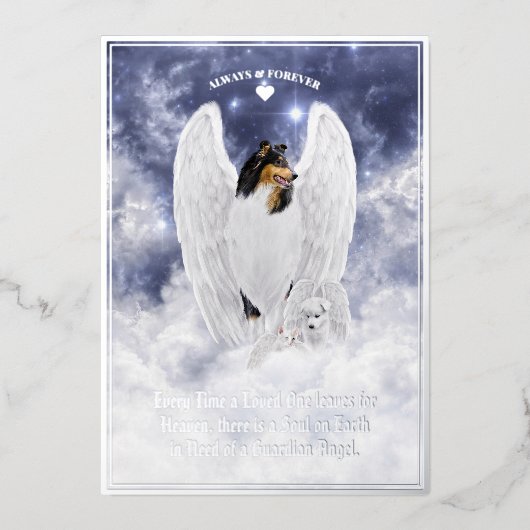 Tri Collie Angel & Cherub - Pet Sympathy Folie Kaa Folie Feestdagenkaart (Voorkant)