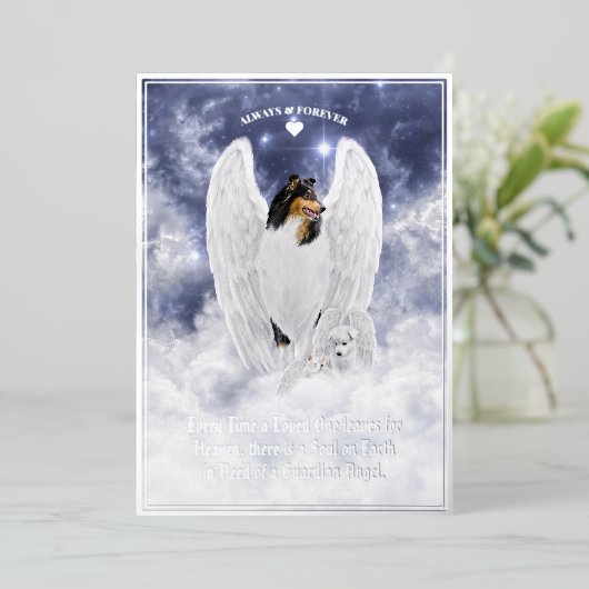 Tri Collie Angel & Cherub - Pet Sympathy Folie Kaa Folie Feestdagenkaart (Staand Voorkant)