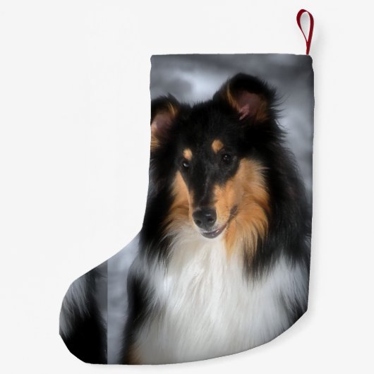 Tri Collie Kerstmis Kleine Kerstsok (Achterkant)