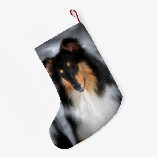 Tri Collie Kerstmis Kleine Kerstsok (Achterkant (Hangend))