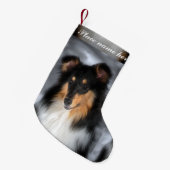 Tri Collie Kerstmis Kleine Kerstsok (Voorkant (Hangend))