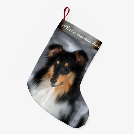 Tri Collie Kerstmis Kleine Kerstsok (Voorkant (Hangend))
