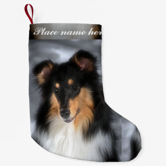 Tri Collie Kerstmis Kleine Kerstsok