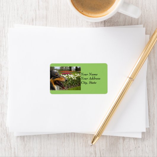 Tri Collie N Tulpen Etiket (Insitu)