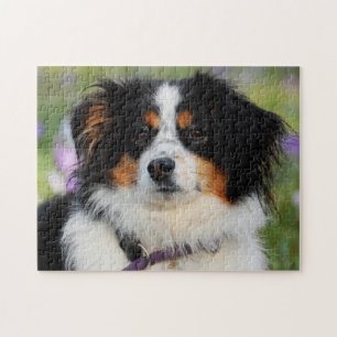 Tri Color Australian Shepherd Puppy Dog Legpuzzel