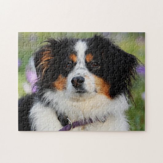 Tri Color Australian Shepherd Puppy Dog Legpuzzel (Horizontaal)
