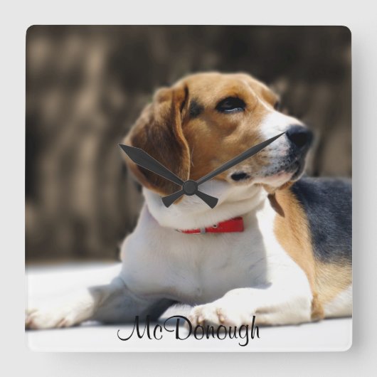 Tri-Color Beagle Vierkante Klok (Voorkant)