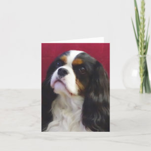 Tri-Color Cavalier King Charles Blank Note Card Kaart