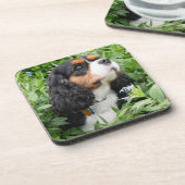 Tri Color Cavalier King Charles Spaniel Dog Bier Onderzetter (Linkerzijde)