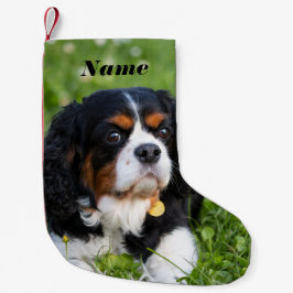 Tri Color Cavalier King Charles Spaniel Dog Kleine Kerstsok