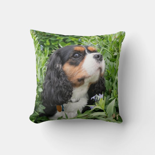 Tri Color Cavalier King Charles Spaniel Dog Kussen (Voorkant)
