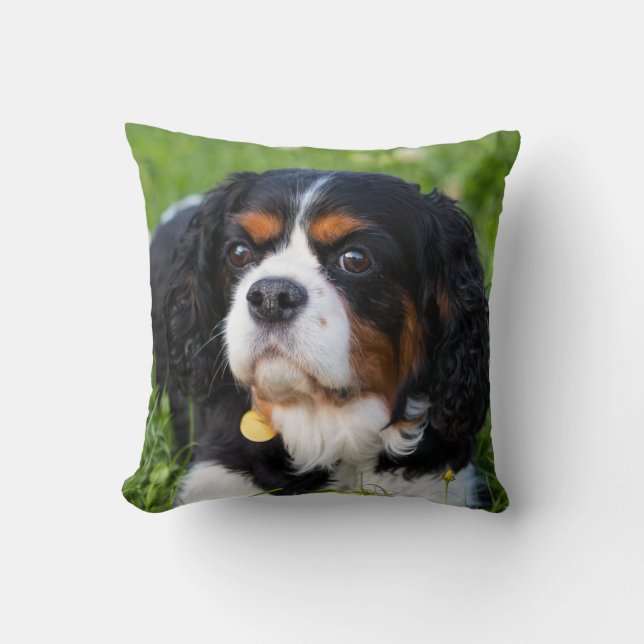Tri Color Cavalier King Charles Spaniel Dog Kussen (Voorkant)