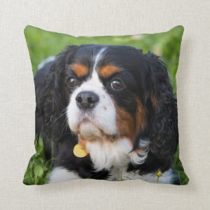 Tri Color Cavalier King Charles Spaniel Dog Kussen