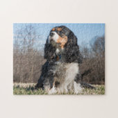 Tri Color Cavalier King Charles Spaniel Dog Legpuzzel (Horizontaal)