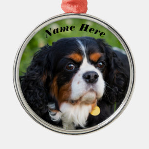Tri Color Cavalier King Charles Spaniel Dog Metalen Ornament