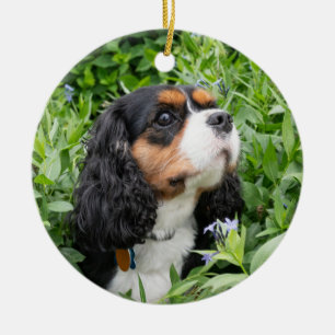 Tri Color Cavalier King Charles Spaniel Keramisch Ornament