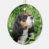 Tri Color Cavalier King Charles Spaniel Keramisch Ornament (Links)