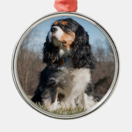 Tri Color Cavalier King Charles Spaniel Metalen Ornament