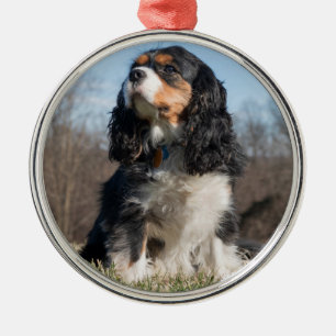 Tri Color Cavalier King Charles Spaniel Metalen Ornament