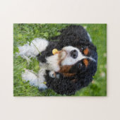 Tri Color Cavalier King Charles Spaniel Puppy Dog Legpuzzel (Horizontaal)