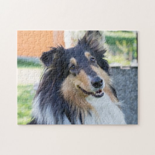 Tri Color Collie Puppy Dog Legpuzzel (Horizontaal)