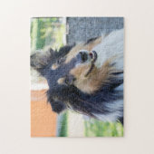 Tri Color Collie Puppy Dog Legpuzzel (Verticaal)