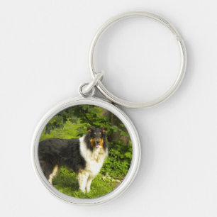 Tri Color Collie Sleutelhanger