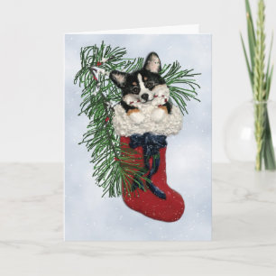 Tri-Color Corgi in Christmas Stocking Kaart