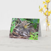 Tri Color Heron Chick Kaart (Gele Bloem)