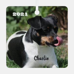 Tri Color Jack Russell Terrier Puppy Dog Metalen Ornament