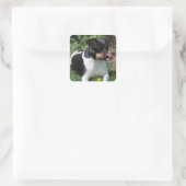 Tri Color Jack Russell Terrier Puppy Dog Vierkante Sticker (Tas)