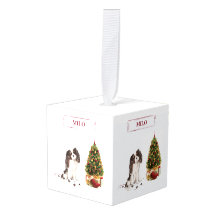 Tri-Color King Charles Spaniel Funny Kersthond