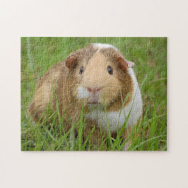 Tri Color Pet Guinea Pig. in Grass Legpuzzel