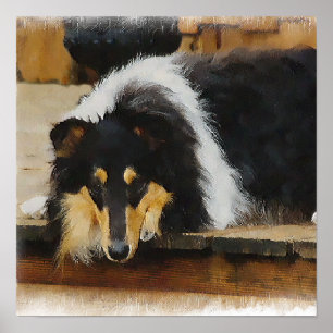 Tri Color Rough Collie Gifts Art Poster