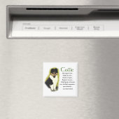 Tri Color Rough Collie Gifts Magneet (Insitu (Vaatwasser))