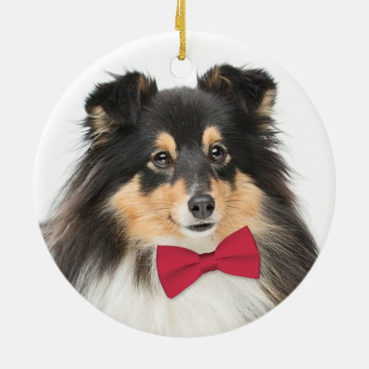Tri-Color Sheltie Kerstversiering Keramisch Ornament (Achterkant)