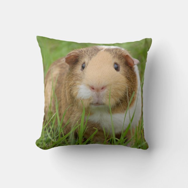 Tri Color Smooth Hair Pet Guinea Pig. Kussen (Voorkant)