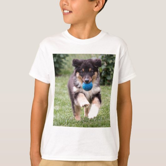 Tri Colored Australian Shepherd Pup T-shirt (Voorkant)