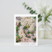 Tri-Colored Bumble Bee op Joe-Pye-Weed Briefkaart (Staand voorkant)