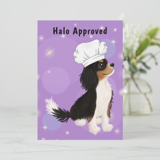 Tri Colored Cavalier in Chef's Pet Bedankkaart (Staand voorkant)