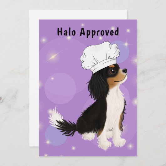 Tri Colored Cavalier in Chef's Pet Bedankkaart (Voorkant / Achterkant)