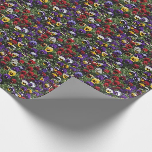 Tri Coloured Pansies: een symfonie van kleuren in  Cadeaupapier (Hoek)