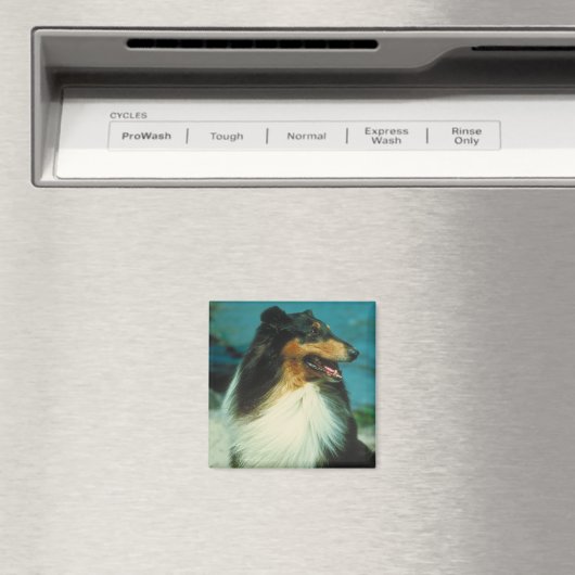 Tri-gekleurde gekleurde ruw jas magneet (Insitu (Vaatwasser))