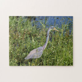 Tri Gekleurde Heron Legpuzzel